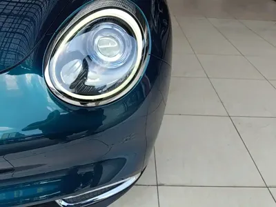 ORA Ora Good Cat