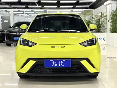 BYD Seagull