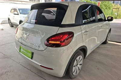 Wuling Bingo