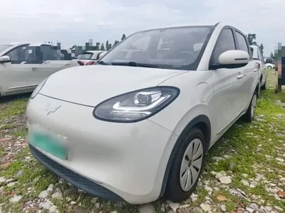 Wuling Bingo