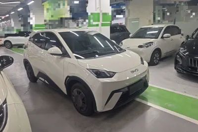 BYD Seagull