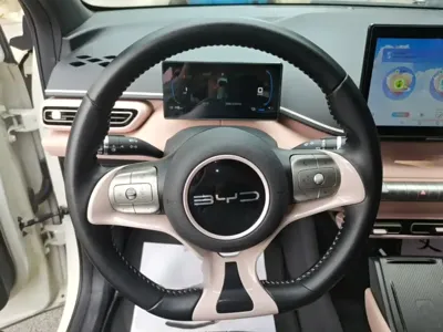 BYD Seagull