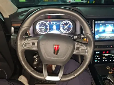Hongqi Hongqi HS7