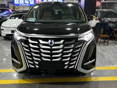 Denza Denza D9