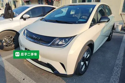 BYD Dolphin