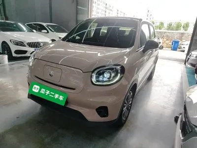 Leapmotor Leapmotor T03