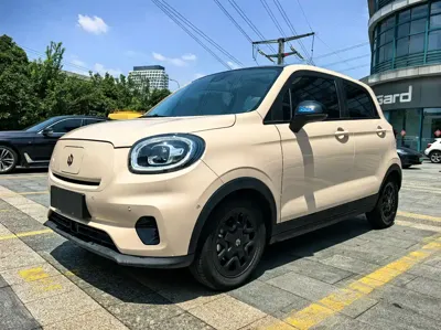 Leapmotor Leapmotor T03