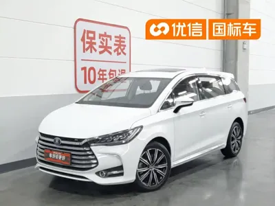 BYD MAX New Energy