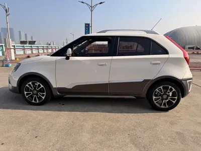 MG 3SW