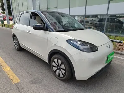 Wuling Bingo