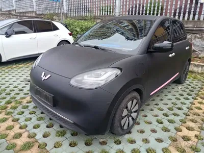 Wuling Bingo