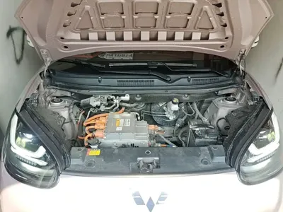 Wuling Bingo