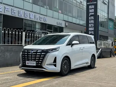 Denza Denza D9