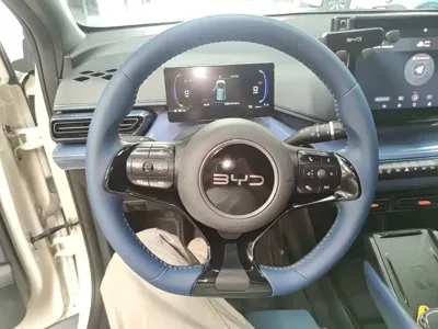 BYD Seagull