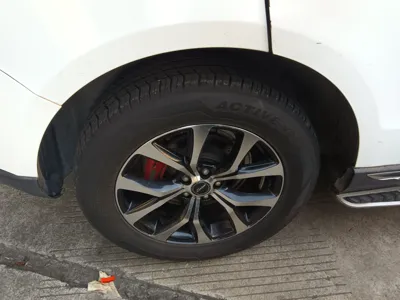Zotye T600