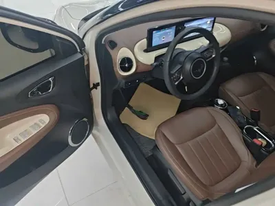 Wuling Bingo