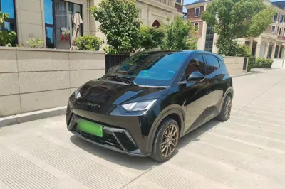BYD Seagull