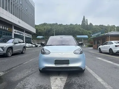 Wuling Bingo