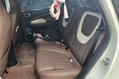 Wuling Bingo