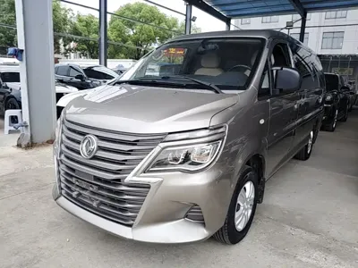 Fengxing Lingzhi