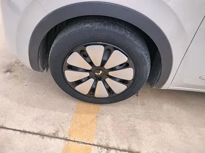 Wuling Bingo