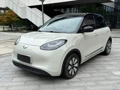 Wuling Bingo