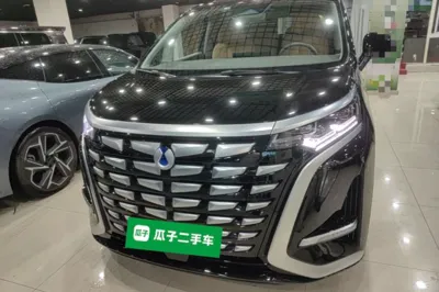 Denza D9