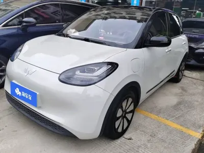 Wuling Bingo