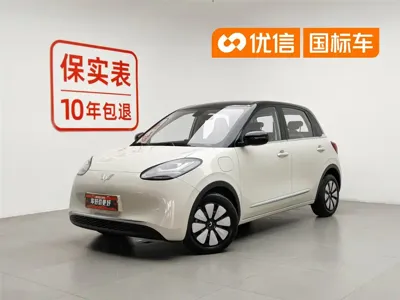 Wuling Bingo