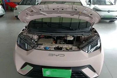 BYD Seagull