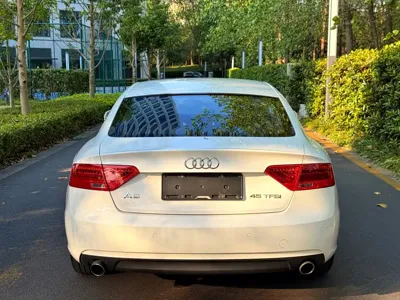 Audi A5 (Import)