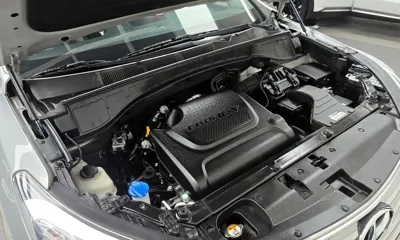 Hyundai Maxcruz
