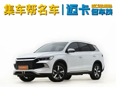BYD Pro New Energy