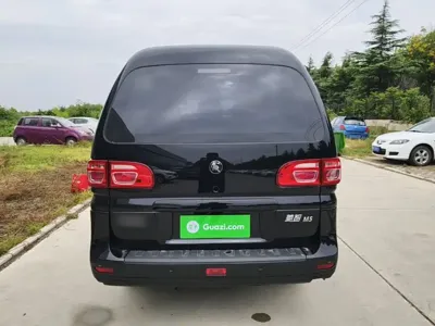 Fengxing Lingzhi