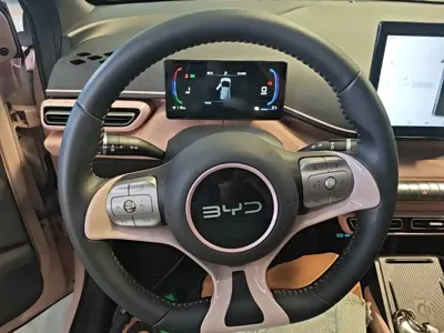 BYD Seagull