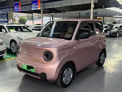 Galaxy Panda