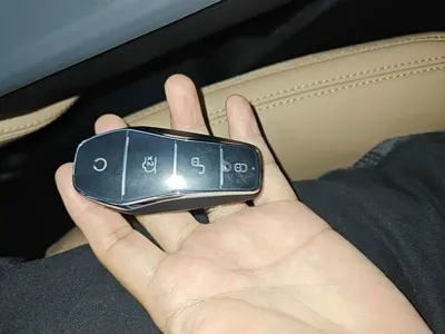BYD L DM-i