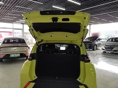 BYD Seagull