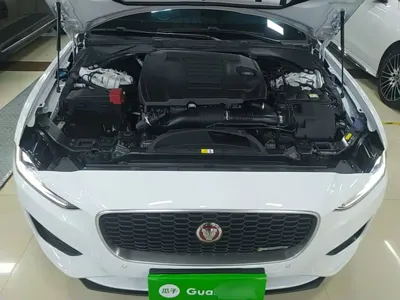 Jaguar XEL