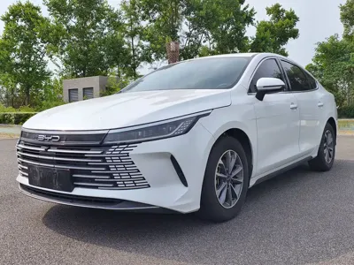BYD Destroyer 05