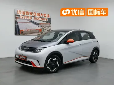 BYD Dolphin