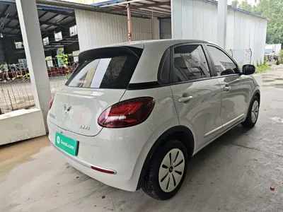Wuling Bingo