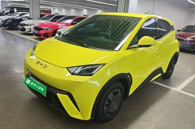BYD Seagull