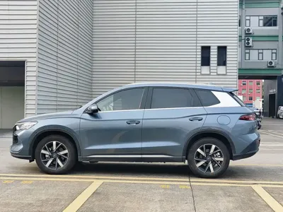 BYD Pro New Energy
