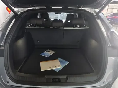 BYD PLUS New Energy