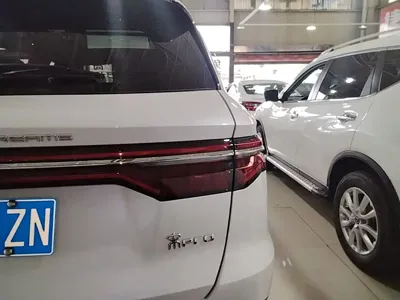 BYD Pro