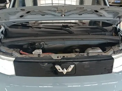Wuling MINIEV