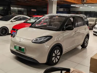 Wuling Bingo