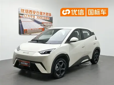 BYD Seagull