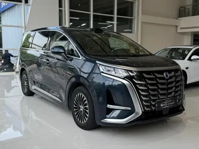 Denza Denza D9